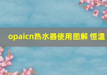 opaicn热水器使用图解 恒温